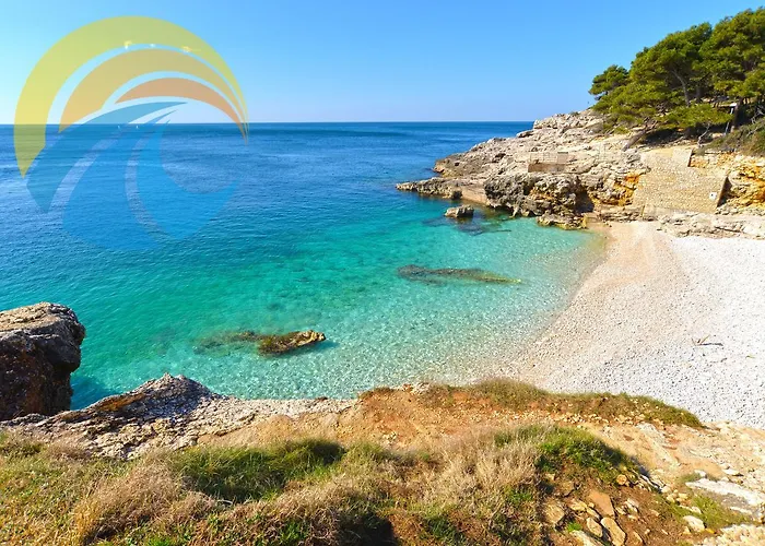 아파트 Igor 1364 *