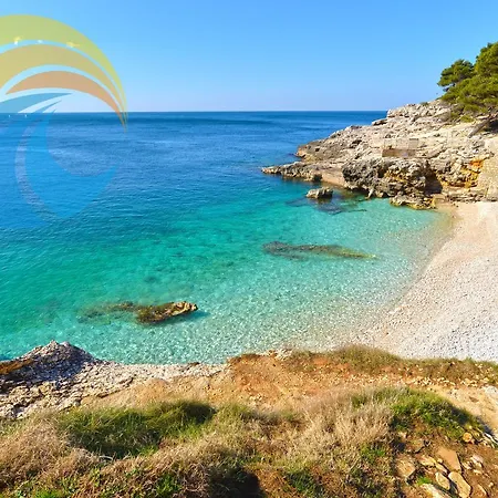 Apartamento Igor 1364 *